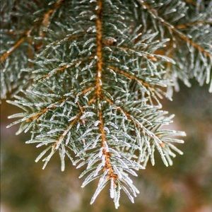 Meet your Posher, Abbie